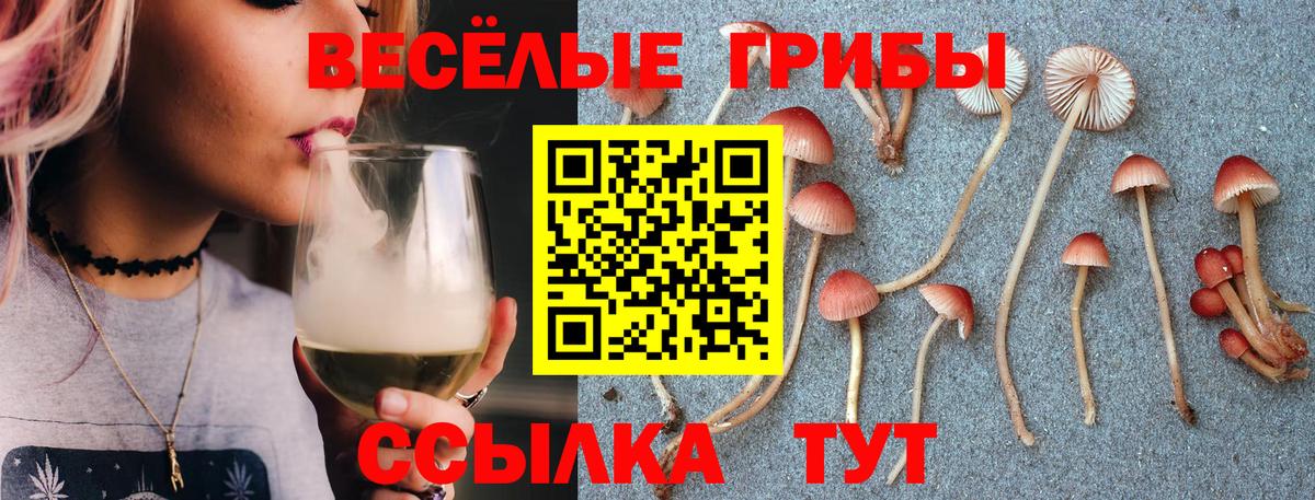 Псилоцибиновые грибы MAGIC MUSHROOMS  Вход с VPN  Нефтекамск 